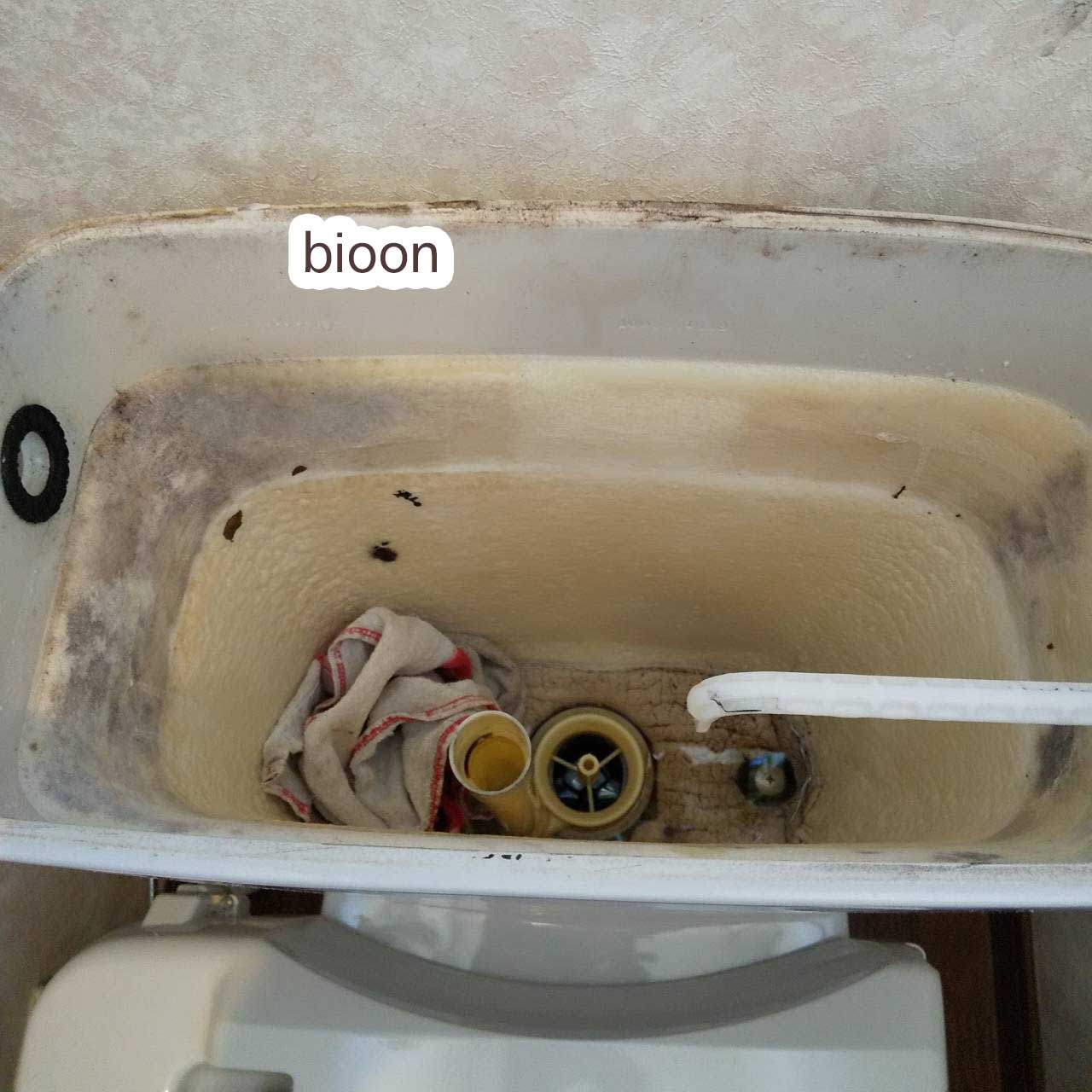 堺市堺区のトイレつまり